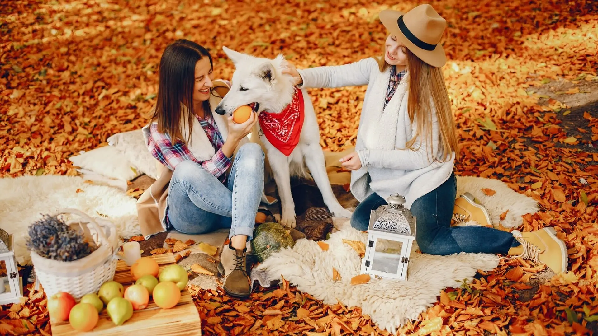 Aktivitas Fisik dan Tidur Berkualitas sebagai Kunci Imunitas